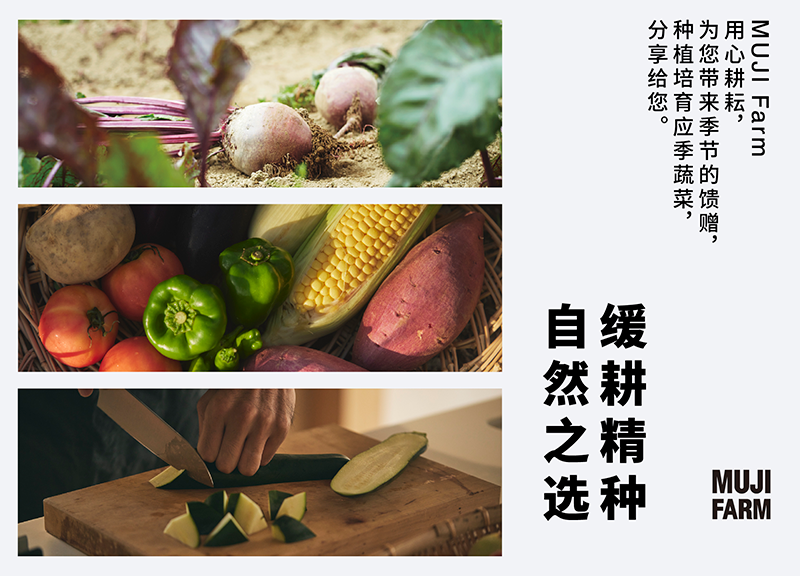 中国·银河集团(galaxy)有限公司-官方网站
