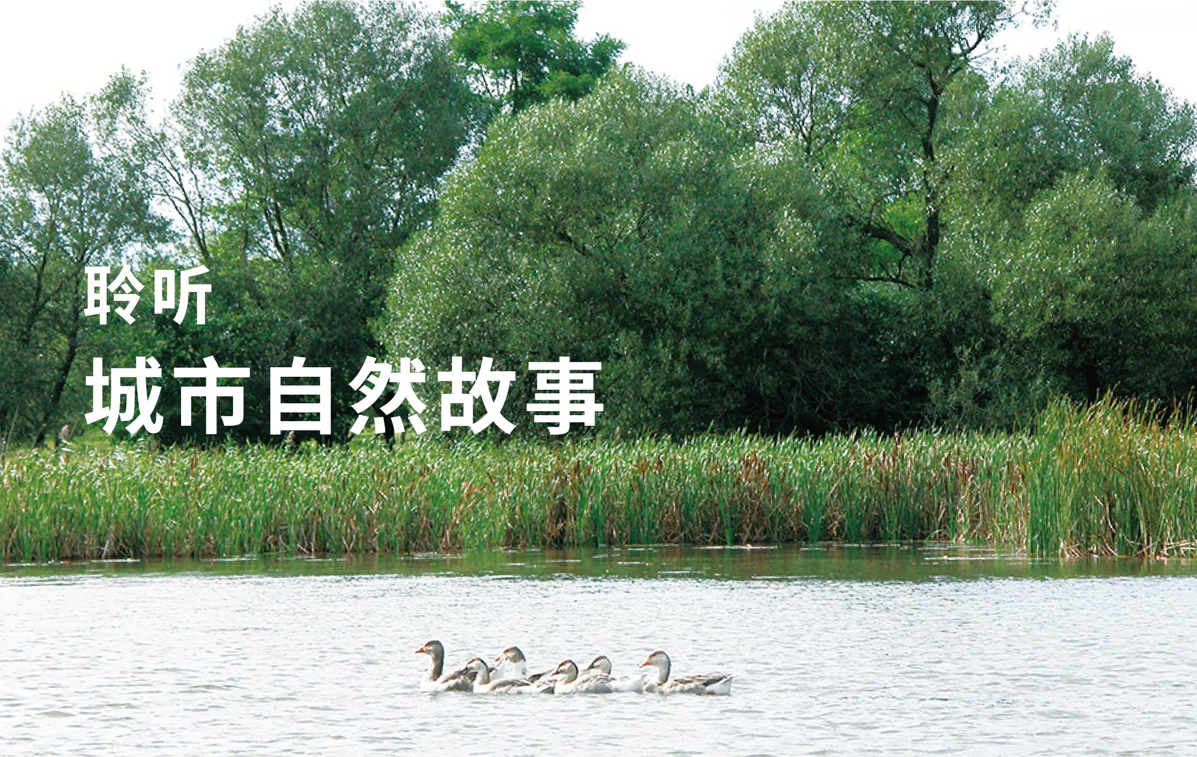 中国·银河集团(galaxy)有限公司-官方网站